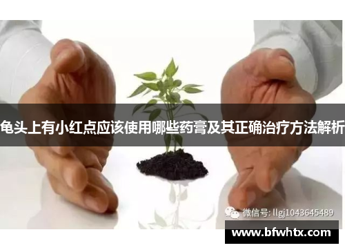 龟头上有小红点应该使用哪些药膏及其正确治疗方法解析